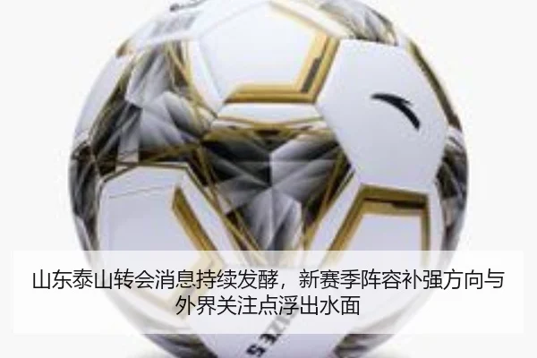 山东泰山转会消息持续发酵，新赛季阵容补强方向与外界关注点浮出水面 | kaiyun
